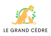 Grand Cèdre